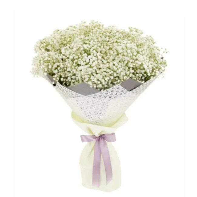 Букет цветов "Белый пушок" Букет цветов "Белый пушок"